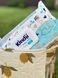 Дитячі вологі серветки Kindii Pure Water 99%, 60 шт Kindii60 фото 2